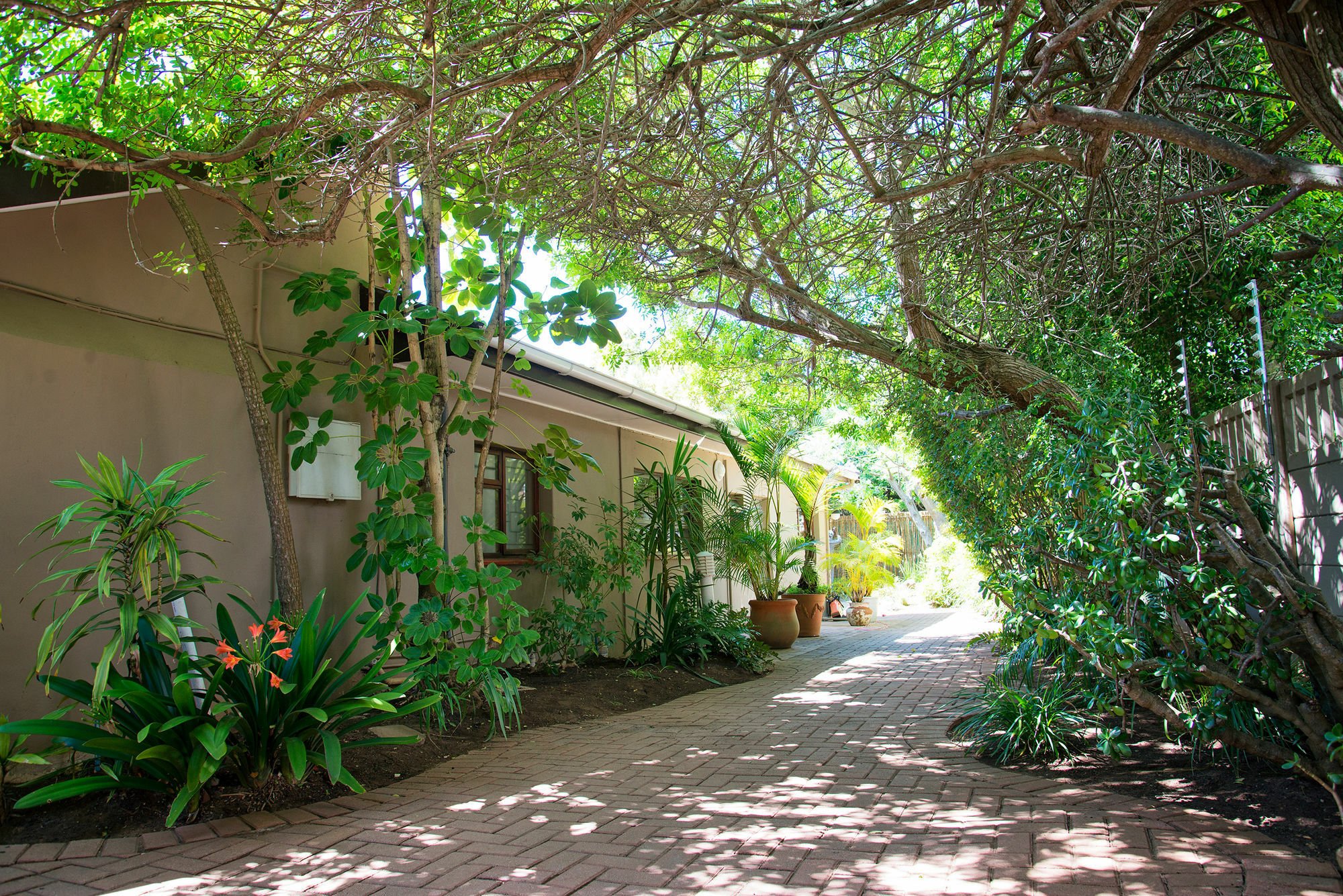 Bayside Guesthouse Port Elizabeth Dış mekan fotoğraf